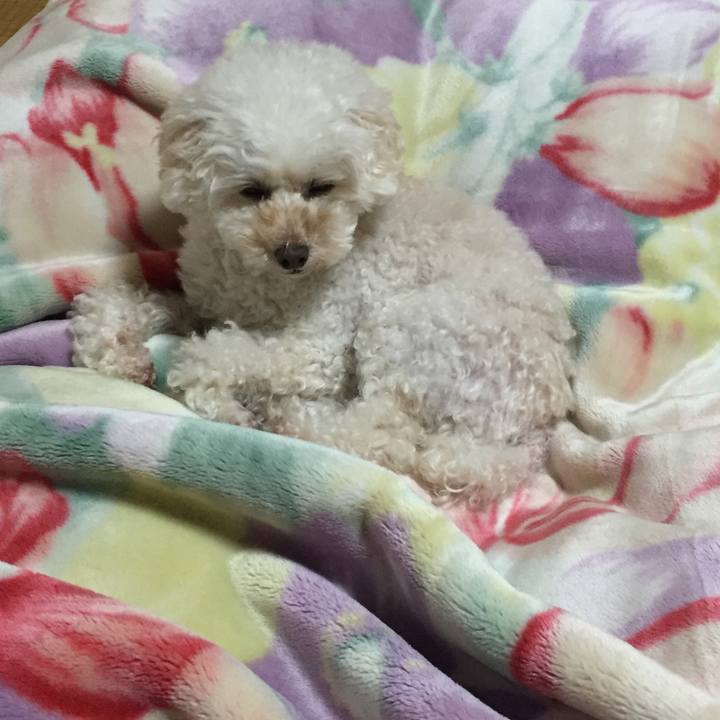 A4770070 8a58 428d b9d3 28a10ecfd6d1