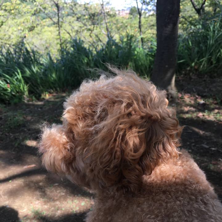 A47733a8 39a4 4f1f afe2 fed84b0746b0