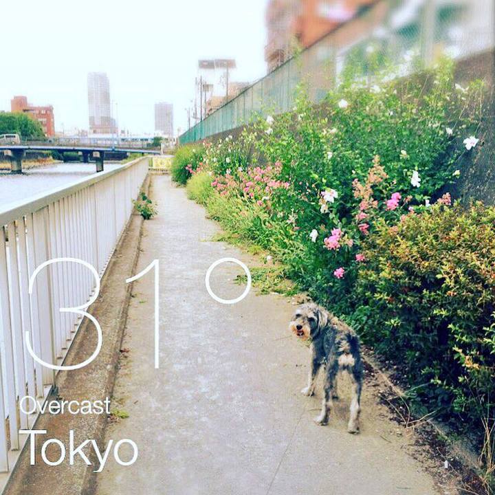 A4775f94 0310 47e5 ad40 01fedb505c19