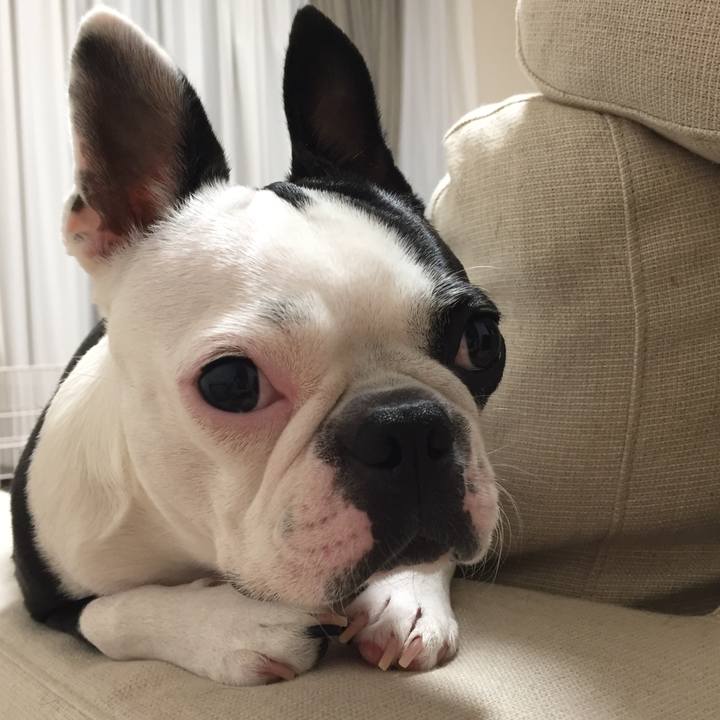 A477c73f a14a 4f2c b89a 4d1f90c1fed7