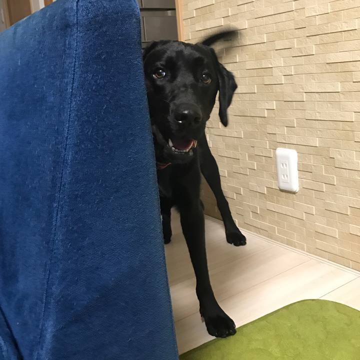 A4784834 2f04 4e4d 9ccf 6e2b99a78551