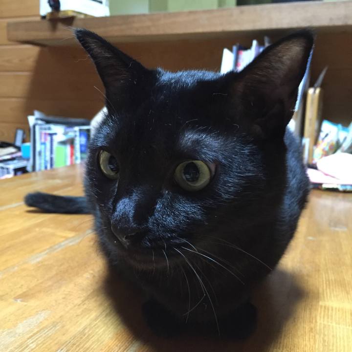 A4785553 06fd 4e6c 919e 00e9e601cb5d