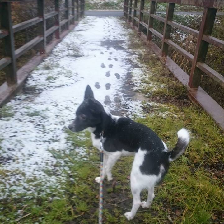 A478b262 f13b 4761 825b a272b8638457