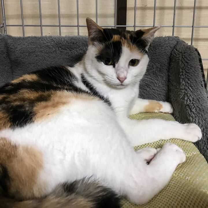 A4799ac3 b3a0 4771 b0bd e4b0d293a7e1