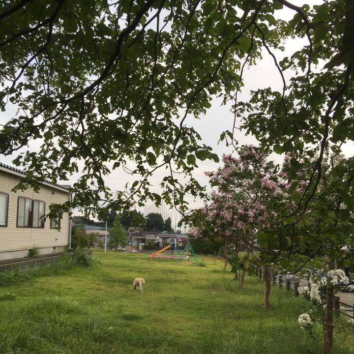 A4799e3d 1663 4f1f 9819 b1c33b33d954