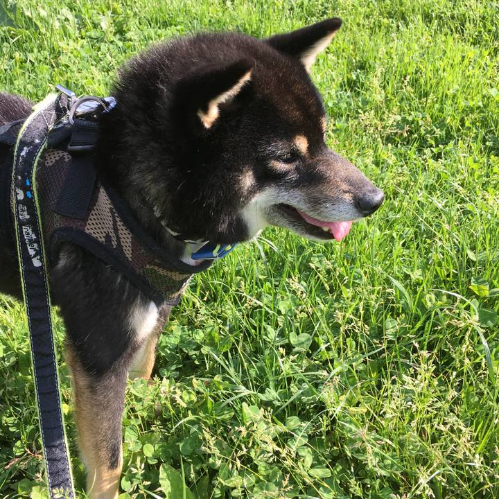 A479b2a4 8670 4a63 a950 3d2e249d4a4b