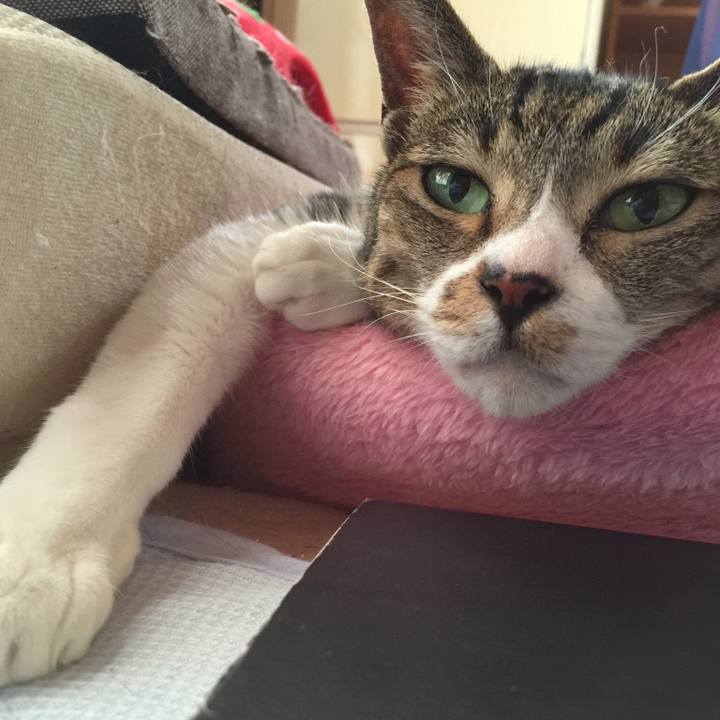 A479be08 f06c 4db8 827b 98f05184a98f