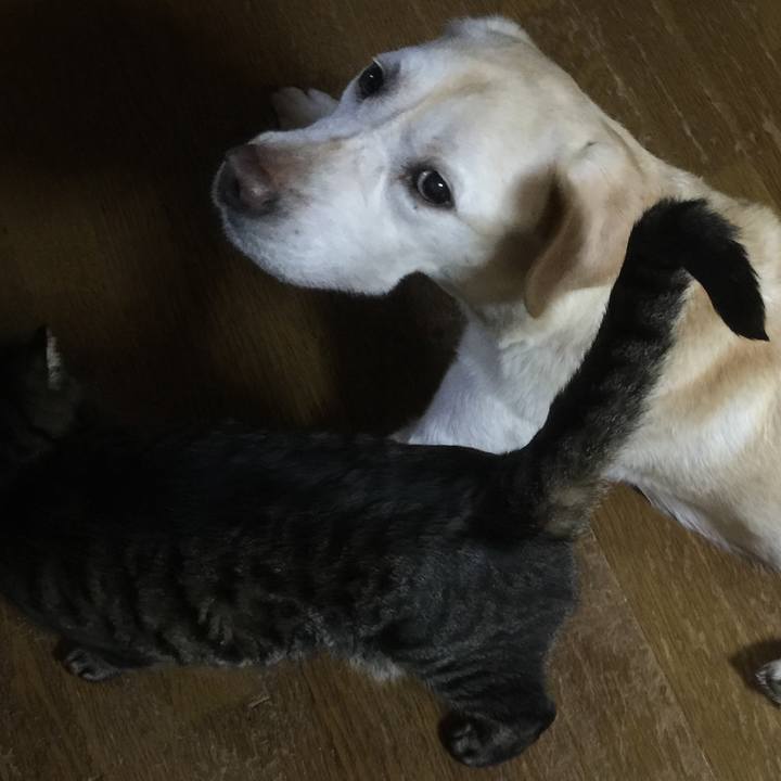 A479f44b 33c8 4ff8 bc91 7c34cbf04258