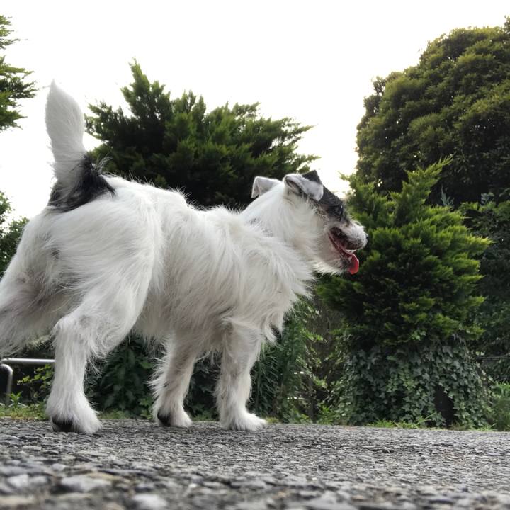 A47a0df6 6823 4fec 92a2 54383d187099