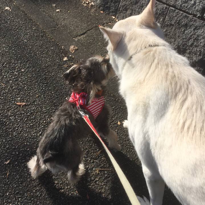 A47aa525 ce77 4cb4 8e0a 8e9707d05299