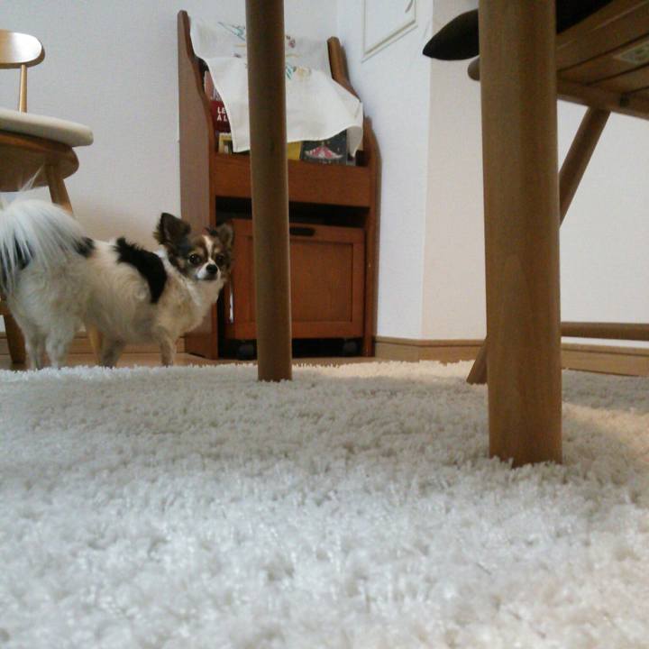 A47bd114 29b4 4f27 861b 0243654a553d