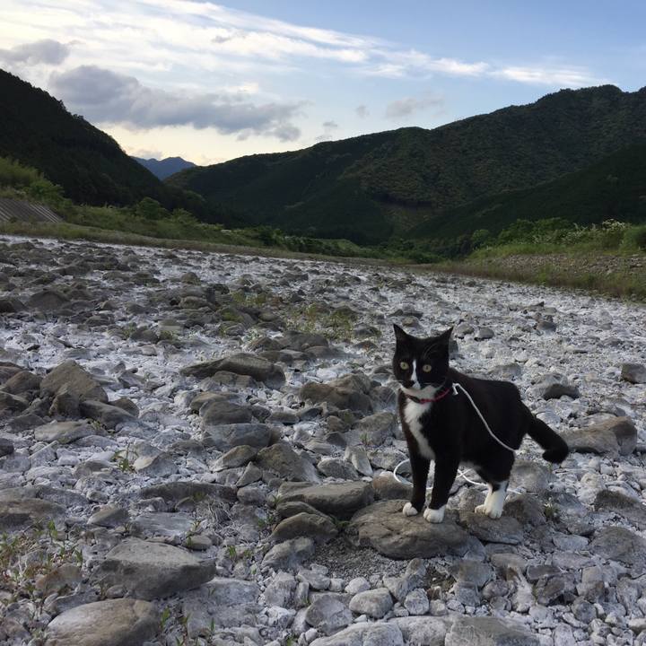 A47bfc7f 5c73 4d00 ab2e 2a0bc64a3f3e