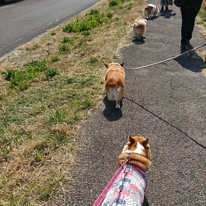 A47c2af1 66a6 4aa7 b930 0652e7ab8b12