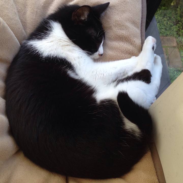 A47c71b8 9533 447d 8dcf f8d381b41831