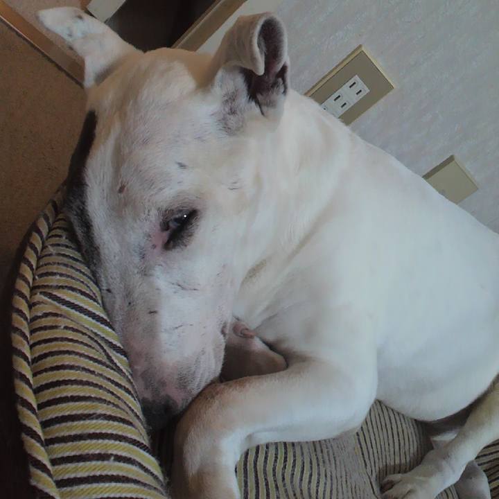 A47c83f4 a795 4fb5 8db7 54b5b717246d