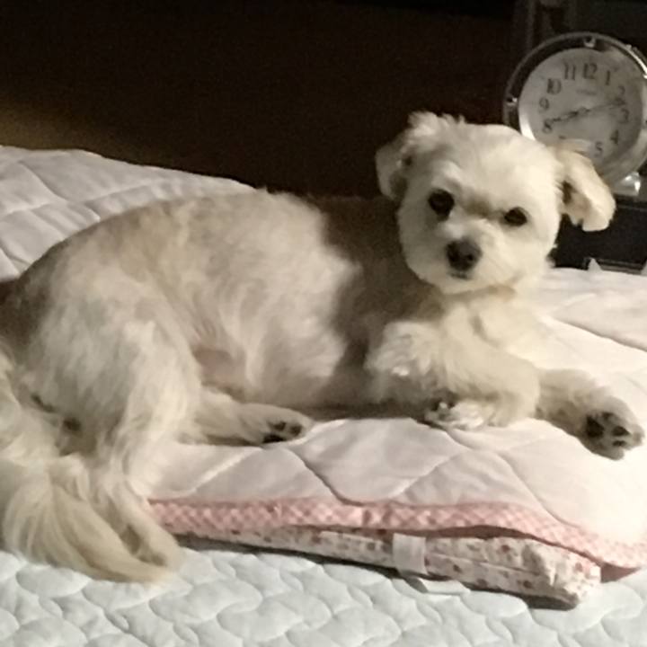 A47dd7ef c730 49cb b002 9f5d412f8216