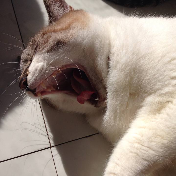 A47e2915 6979 4079 b856 43fca61659cf