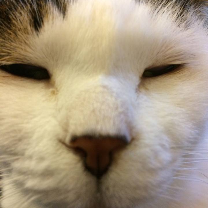 A47e3804 b89a 40db 995b ce1f21eab9c5