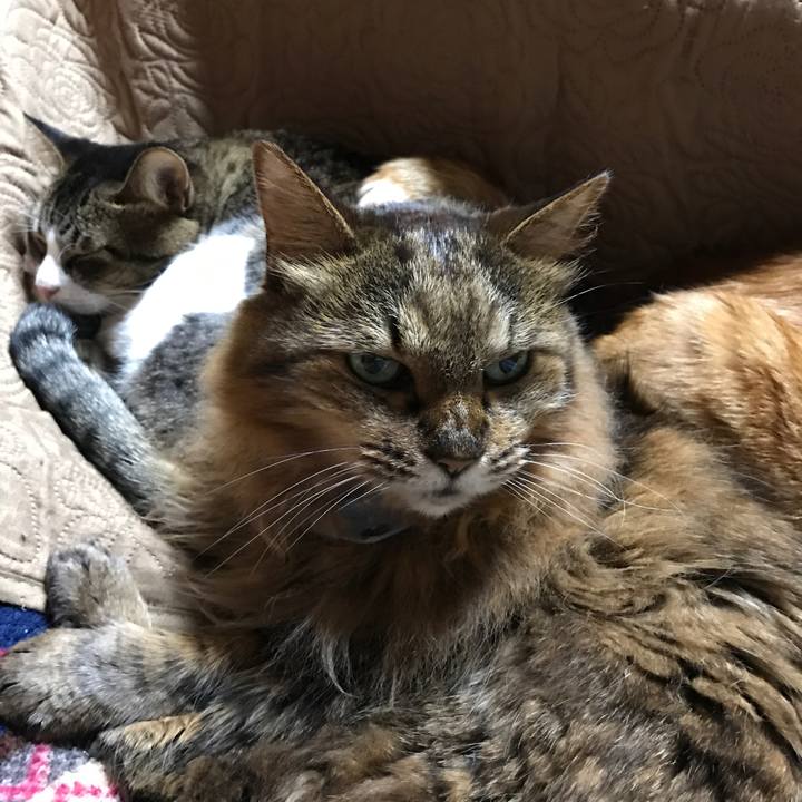 A47f2462 aadd 458c 909e ac96adb1e02f