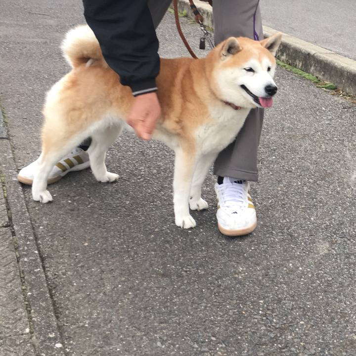 A47f3476 9228 48cf 85fb bab246ccda98