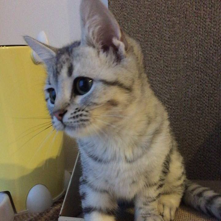 A4809767 4468 42e4 ab5b 4841f18af428