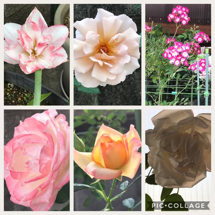 A480bc73 a867 4497 86e0 997c34cede6e