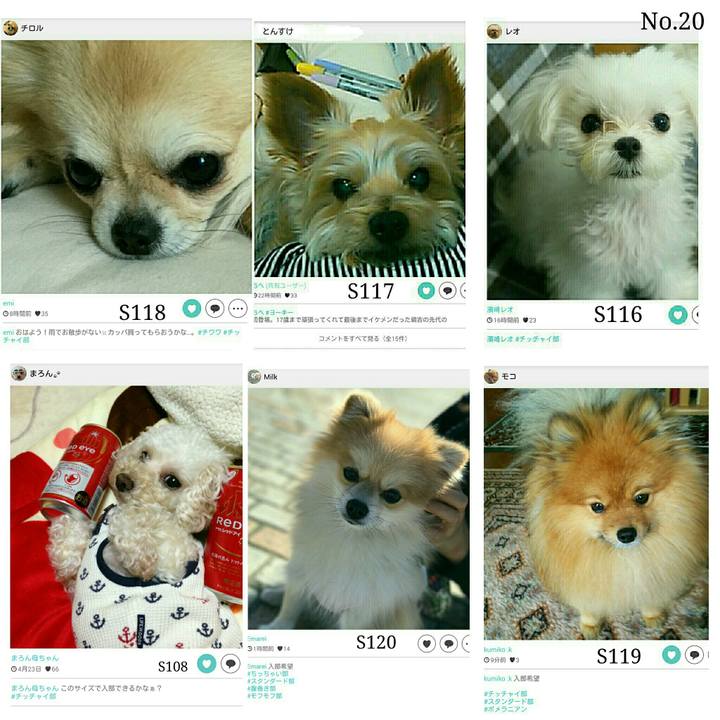 A480e824 e8e5 4c65 9644 0d4c296efa8b