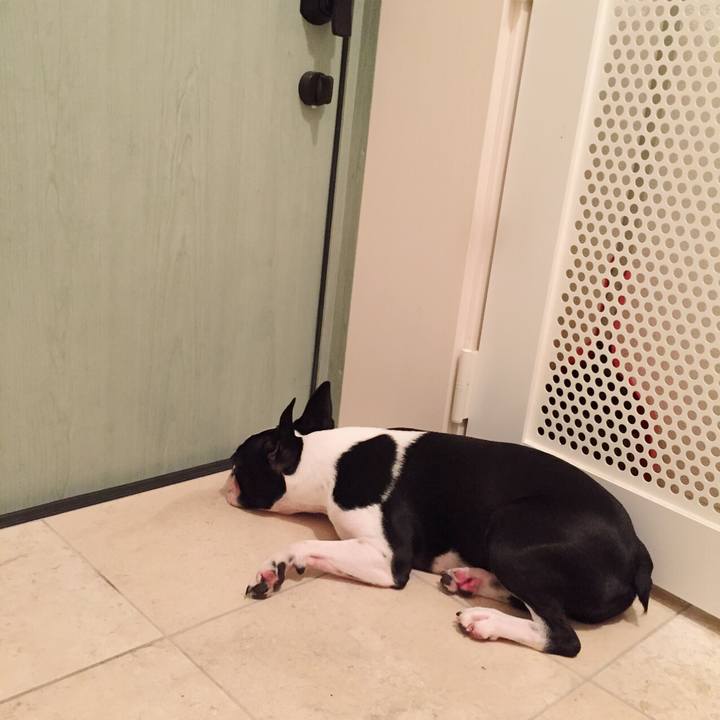 A480f353 5e77 48f0 8338 6868e65e25a4