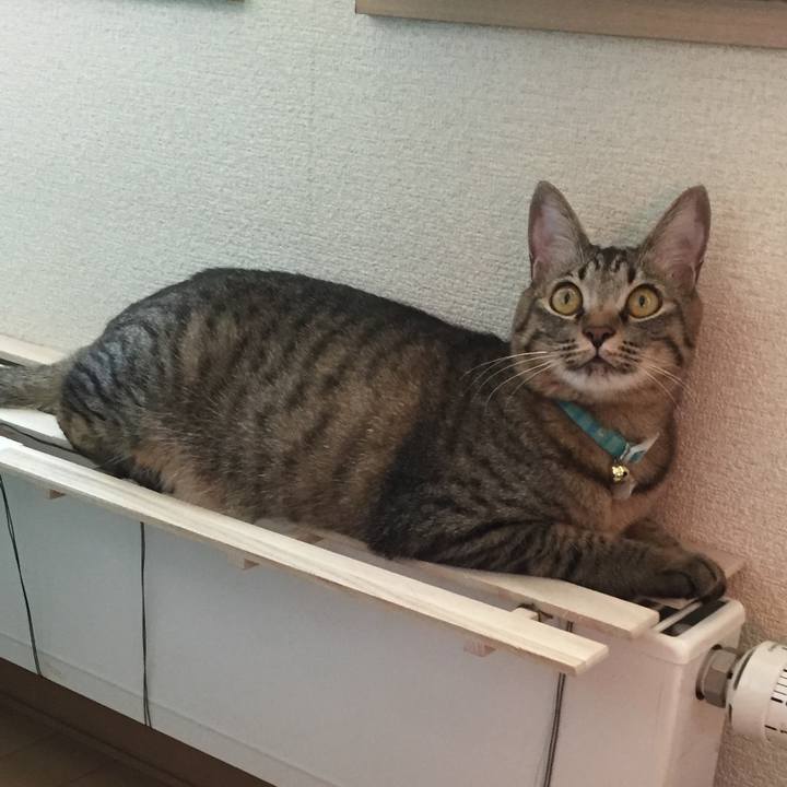 A48124e1 6d00 482a 847b e80258155abe