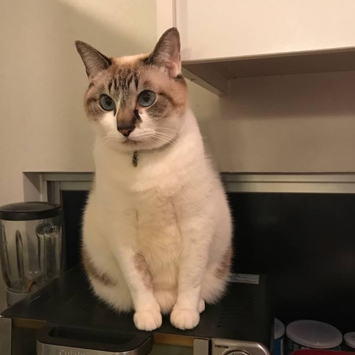 A481a520 ada5 428f a87d 355515d942dc