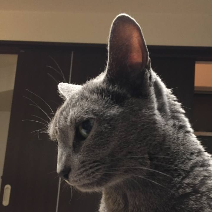 A481a6d4 40db 46e1 a68f 5dfa49278bf0