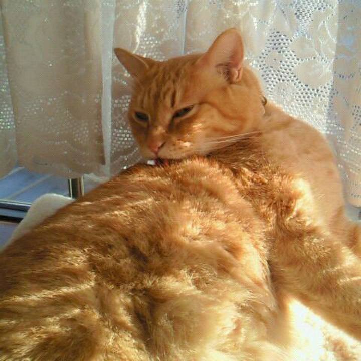 A481d651 20fa 4adf b223 b4929bc43099