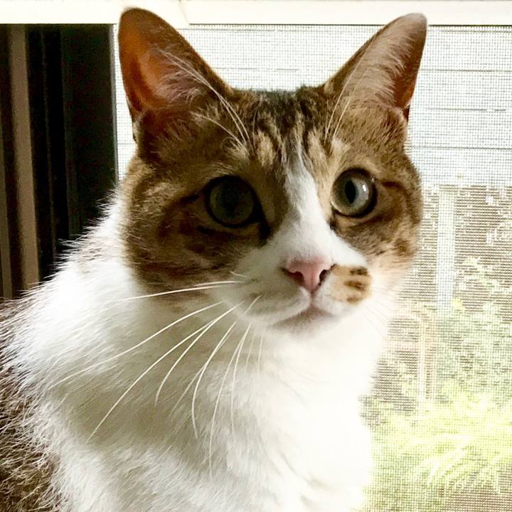 A4820dd4 4a31 4c5f 8b6d ce46e0ee17ac