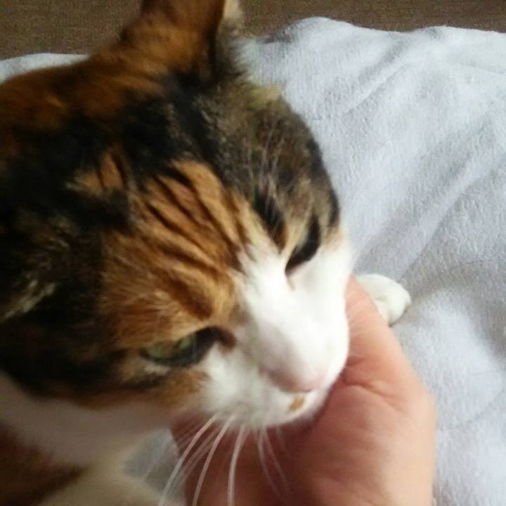 A482435e b510 4f19 b2c5 367a11b3e75f