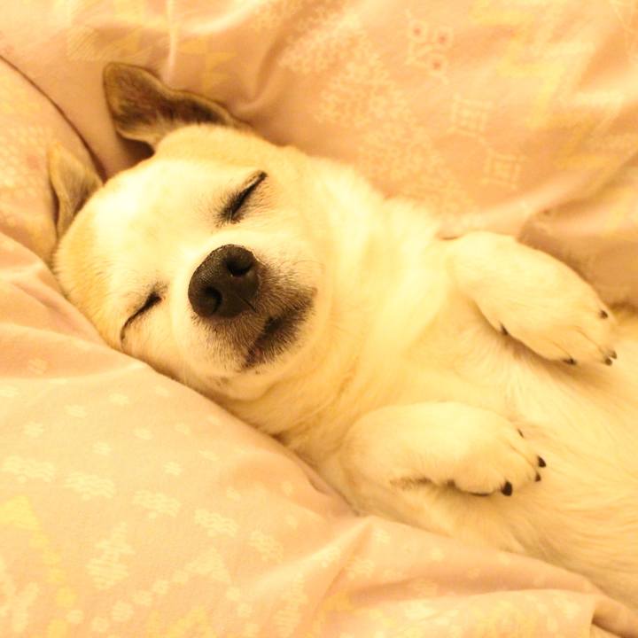 A4828ba4 e936 4151 80fd 83e96ebca60b