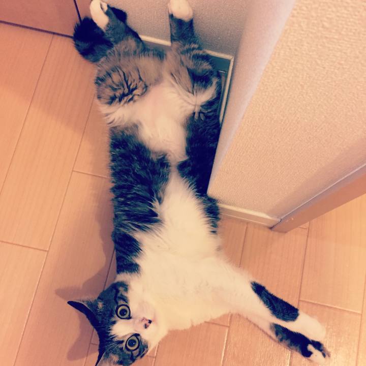 A48454cc 6ffe 4694 b3f9 4dfdc96e6562