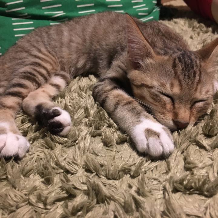 A484eb4f 663f 482b 8f4f ff1623eb327b