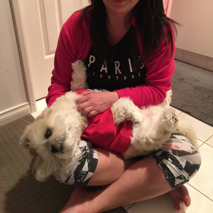 A4850ae7 f062 4571 af32 e3e04469de10