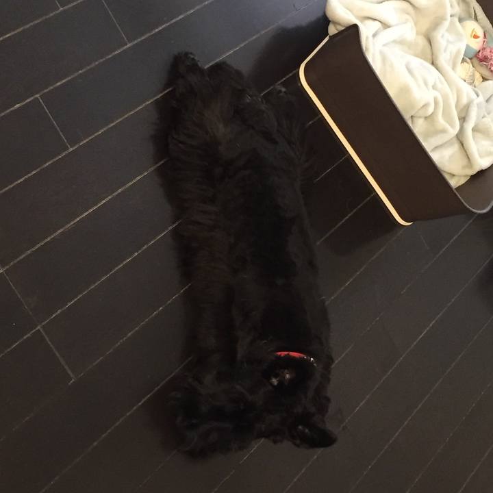 A485ab5e 13ea 4cc1 9ed9 33a2a06fa987