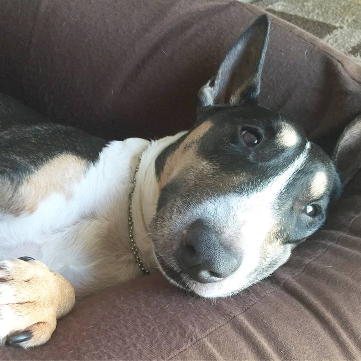 A4862059 7fe1 47f8 b613 9245f71683e8