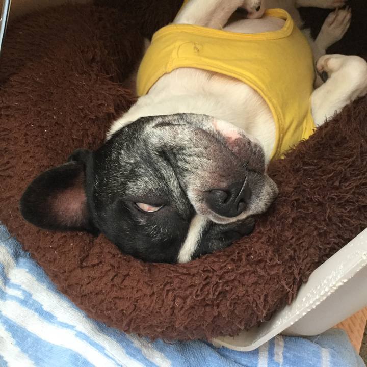 A486877c c91a 4624 967f f2fe0ab7321d