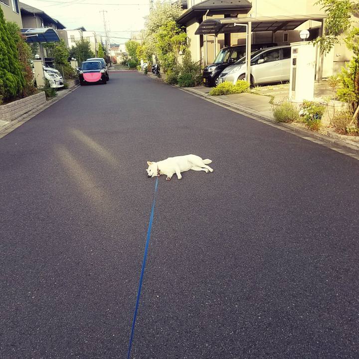 A4876faa f7b2 4fc1 84e9 882aed5a1309