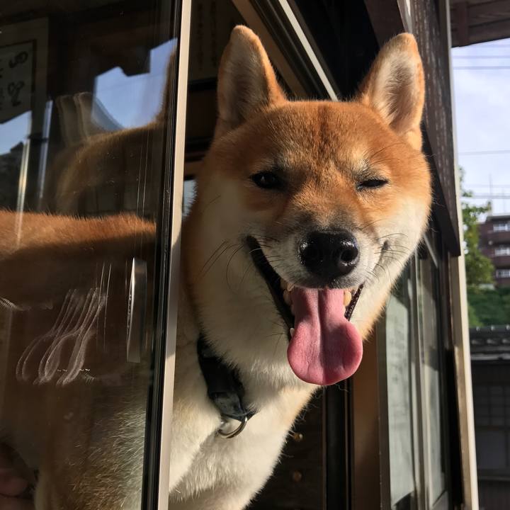 A487f46d 1b0f 4f05 b301 a2fadc9e8ed4