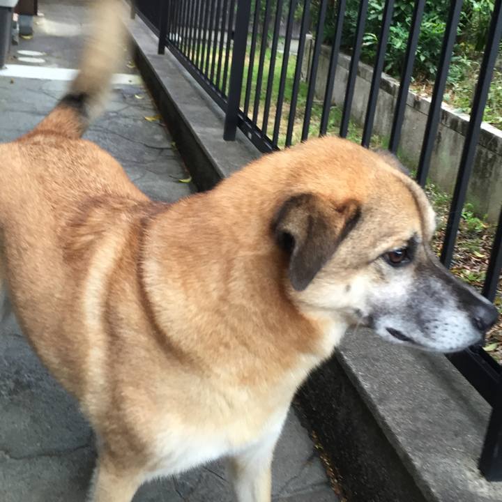 A488221a bad3 4949 a7a7 ac6b7c5f9f4a