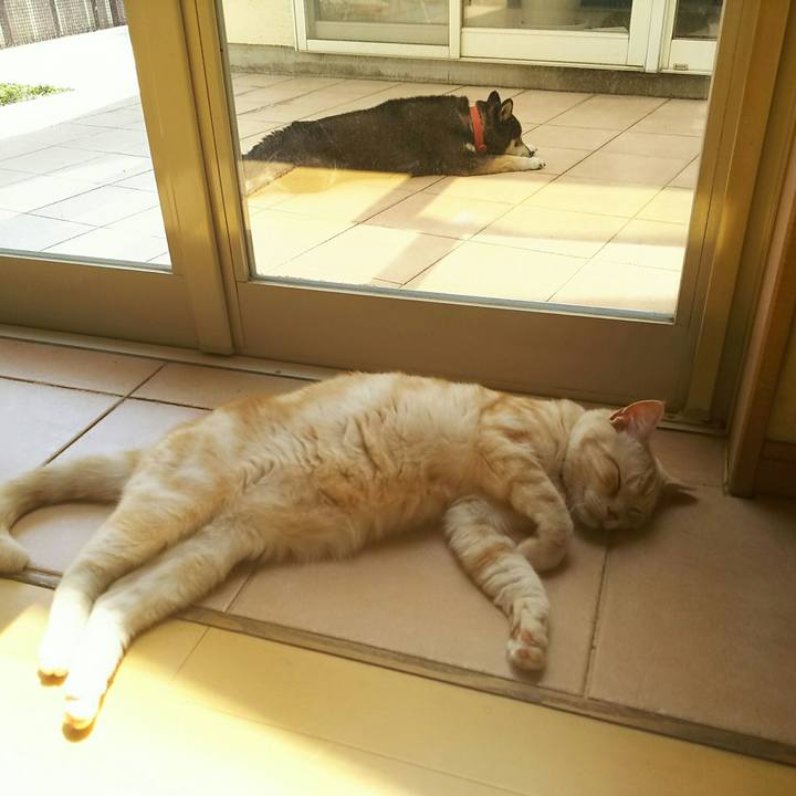 A4887892 4ae1 4700 beab 0586d7cbe5aa