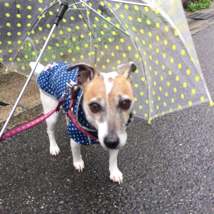 A4889b61 815c 4059 a030 9e7ecb251042