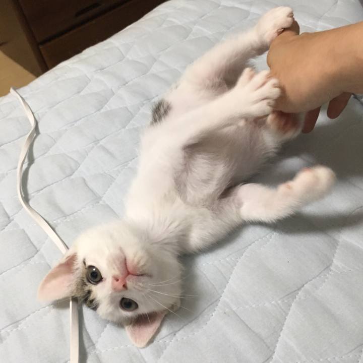 A488e739 97f2 4982 8a8a 8f7d6a86f234