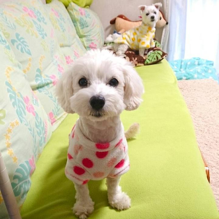 A488f2ad fa23 425f 8536 ad0d0d1ecbf7