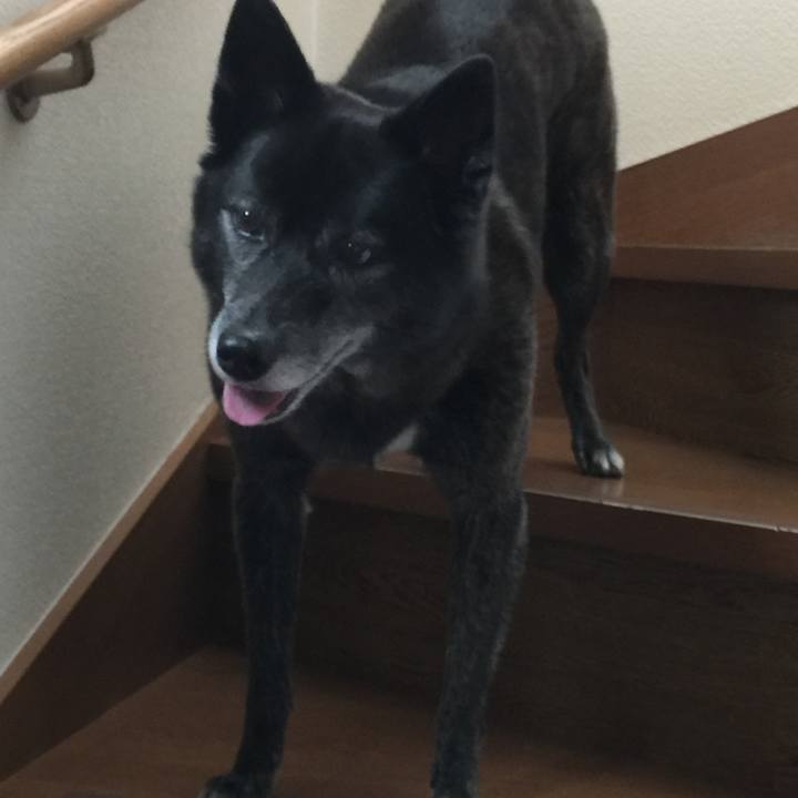 A489494d 6a5b 45f4 baba bccd9187cb63