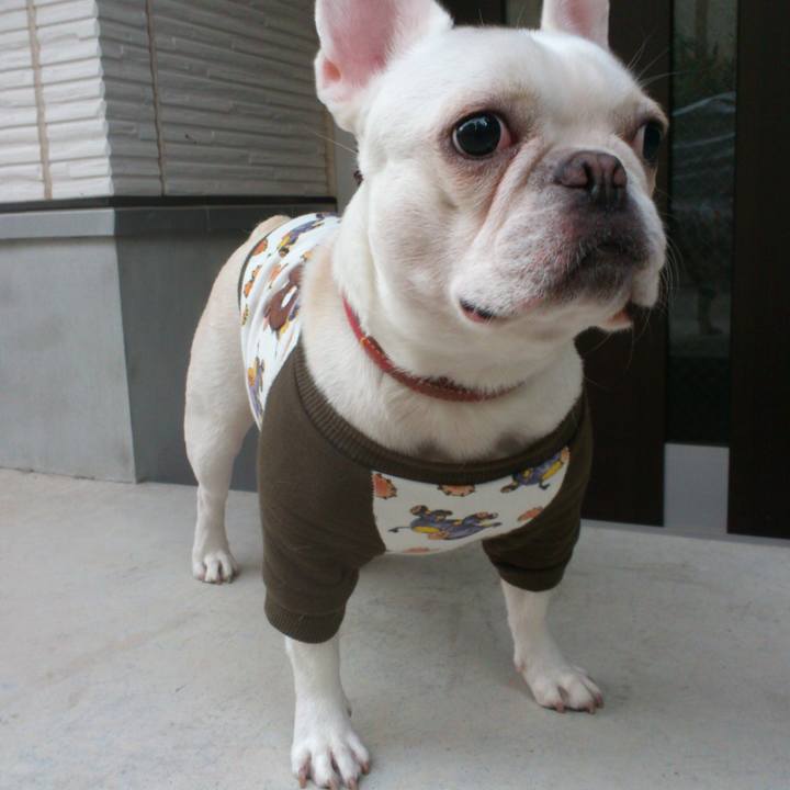 A48972a1 3892 47be 8a2b e639ce04802d